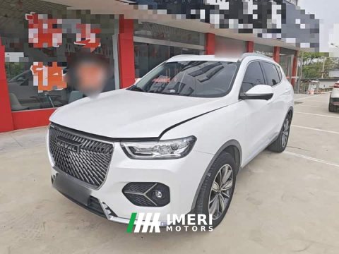 2021 Haval H6 1.5L Turbocharged Automatic Champion Edition - ავტომობილი ჩინეთიდან