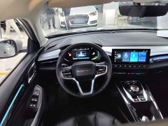 SAIC MG Ei5 500 Heartfelt Edition - ფოტო 10