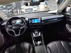 SAIC MG Ei5 500 Heartfelt Edition - ფოტო 9