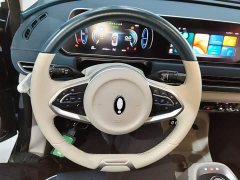 ORA Good Cat 400km Standard Range Luxury Ternary Lithium - ფოტო 10