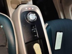 ORA Good Cat 400km Standard Range Luxury Ternary Lithium - ფოტო 13