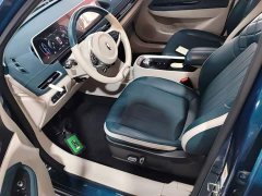 ORA Good Cat 400km Standard Range Luxury Ternary Lithium - ფოტო 14