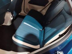 ORA Good Cat 400km Standard Range Luxury Ternary Lithium - ფოტო 16
