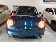 ORA Good Cat 400km Standard Range Luxury Ternary Lithium - ფოტო 2