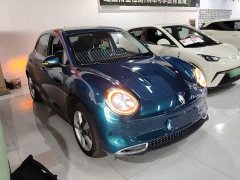 ORA Good Cat 400km Standard Range Luxury Ternary Lithium - ფოტო 3