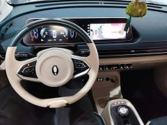 ORA Good Cat 400km Standard Range Luxury Ternary Lithium - ფოტო 9