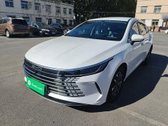 BYD Destroyer 05 Glory Edition DM-i 55KM Luxury - photo 1
