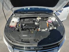 BYD Destroyer 05 Glory Edition DM-i 55KM Luxury - photo 19
