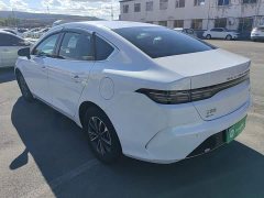 BYD Destroyer 05 Glory Edition DM-i 55KM Luxury - photo 4