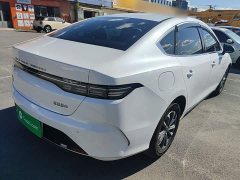 BYD Destroyer 05 Glory Edition DM-i 55KM Luxury - photo 6