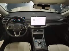 BYD Destroyer 05 Glory Edition DM-i 55KM Luxury - фото 9