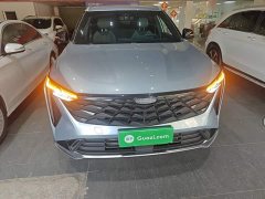 Geely Boyue 1.5TD Longteng Edition - ფოტო 2