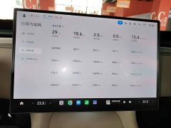 Xiaomi YU7 Rear-Wheel Drive Long-Range Edition - ფოტო 11