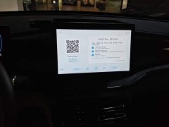 BYD Qin PLUS Glory Edition DM-i 55KM Leading - ფოტო 12