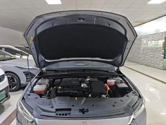 BYD Qin PLUS Glory Edition DM-i 55KM Leading - ფოტო 19