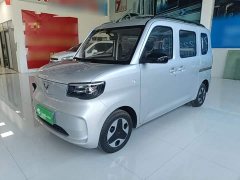 Wuling Zhiguang New Energy 201km Comfort - ფოტო 1