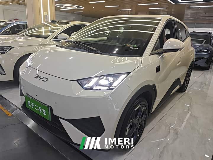 BYD Seagull Smart Driving Edition 305km Freedom Edition