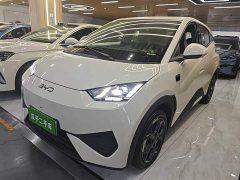 BYD Seagull Smart Driving Edition 305km Freedom Edition - ფოტო 1