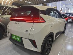 BYD Seagull Smart Driving Edition 305km Freedom Edition - ფოტო 6