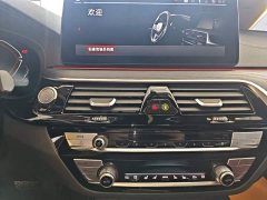 BMW 5 Series 530Li Luxury M Sport Package - ფოტო 12