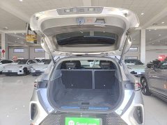 Arcfox Alfa T 688E Forest Edition 160kW - ფოტო 18