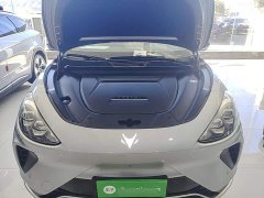 Arcfox Alfa T 688E Forest Edition 160kW - ფოტო 19