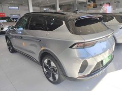 Arcfox Alfa T 688E Forest Edition 160kW - ფოტო 4