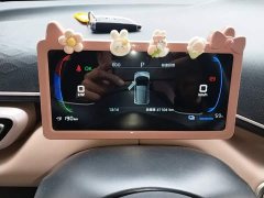 BYD Seagull 305km Vitality Edition - ფოტო 11