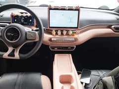 BYD Seagull 305km Vitality Edition - ფოტო 12