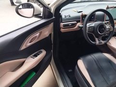 BYD Seagull 305km Vitality Edition - ფოტო 15