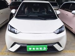 BYD Seagull 305km Vitality Edition - ფოტო 2