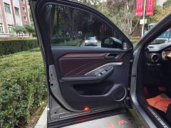 Great Wall WEY VV6 2.0T Two-Wheel Drive Smart Protection Plus - photo 16