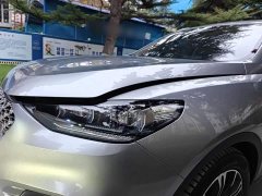 Great Wall WEY VV6 2.0T Two-Wheel Drive Smart Protection Plus - photo 17