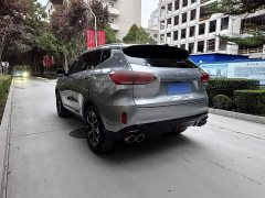 Great Wall WEY VV6 2.0T Two-Wheel Drive Smart Protection Plus - photo 20