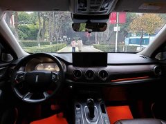 Great Wall WEY VV6 2.0T Two-Wheel Drive Smart Protection Plus - photo 8