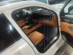 Tank 500 New Energy Hi4-T Smart Comfort Edition - ფოტო 8