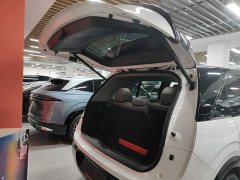 Zeekr MIX Smart Driving Edition - фото 18