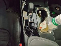 Lexus NX 350h FWD Creative Edition - ფოტო 13