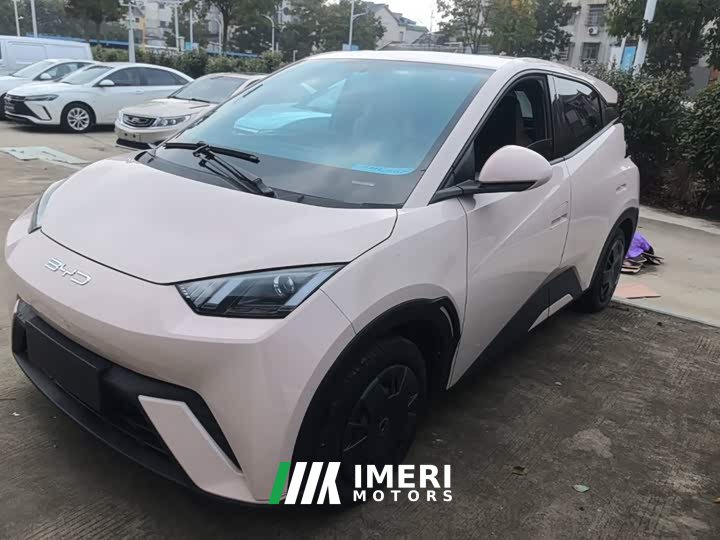 BYD Seagull Vitality Edition - ავტომობილი ჩინეთიდან