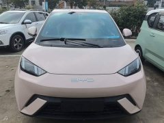 BYD Seagull Vitality Edition - ფოტო 2