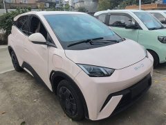 BYD Seagull Vitality Edition - ფოტო 3