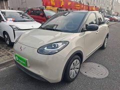 Wuling Binguo 203km Light Enjoy Edition - photo 1