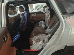 Wuling Starlight S 130km Flagship - ფოტო 16