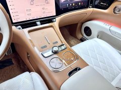 Mercedes-Benz S800 EREV Edition 4 (192) - ფოტო 19