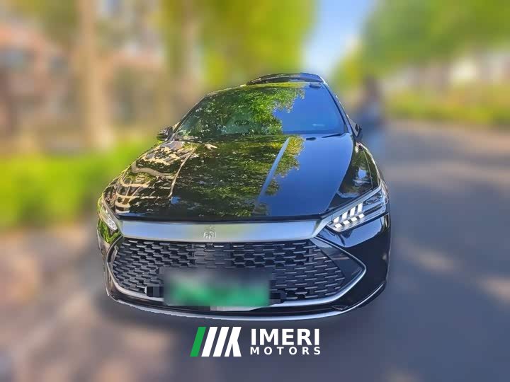 BYD Qin PLUS Glory Edition DM-i 55KM Leading