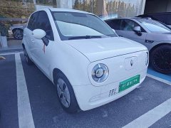 Ora Black Cat 301km Base Ternary Lithium - ფოტო 3