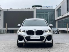 BMW X3 xDrive25i M Sport Package - ფოტო 2
