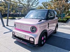 Geely Panda 210km Panda Kart - ფოტო 1