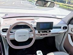 Geely Panda 210km Panda Kart - ფოტო 11