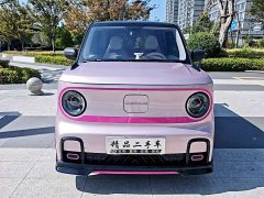 Geely Panda 210km Panda Kart - ფოტო 2